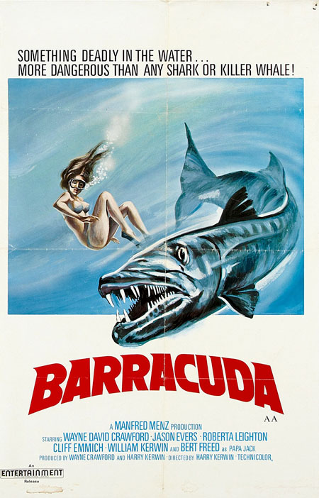 Barracuda