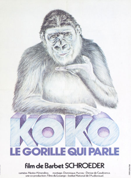Koko le gorille qui parle