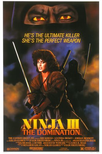 Ninja III – La domination