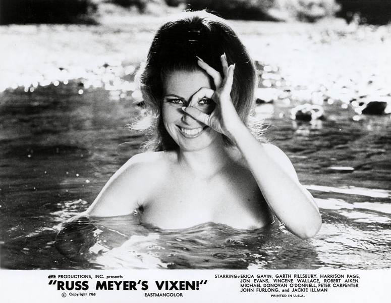 Vixen, la renarde