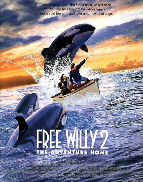 Mon ami Willy 2: La grande aventure