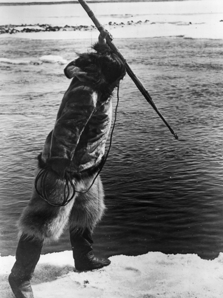 Nanook of the North