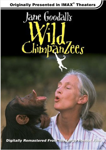 Jane Goodall’s Wild Chimpanzees