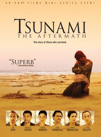 Tsunami – The Aftermath