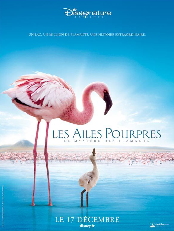 Dysney nature – Les ailes pourpres