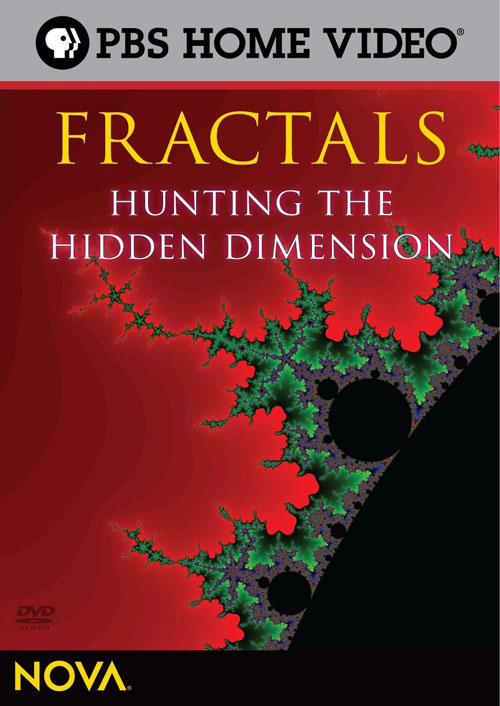 Fractals – Hunting the Hidden Dimension