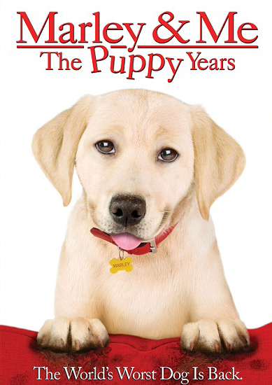 Marley and Me – The Puppy Years