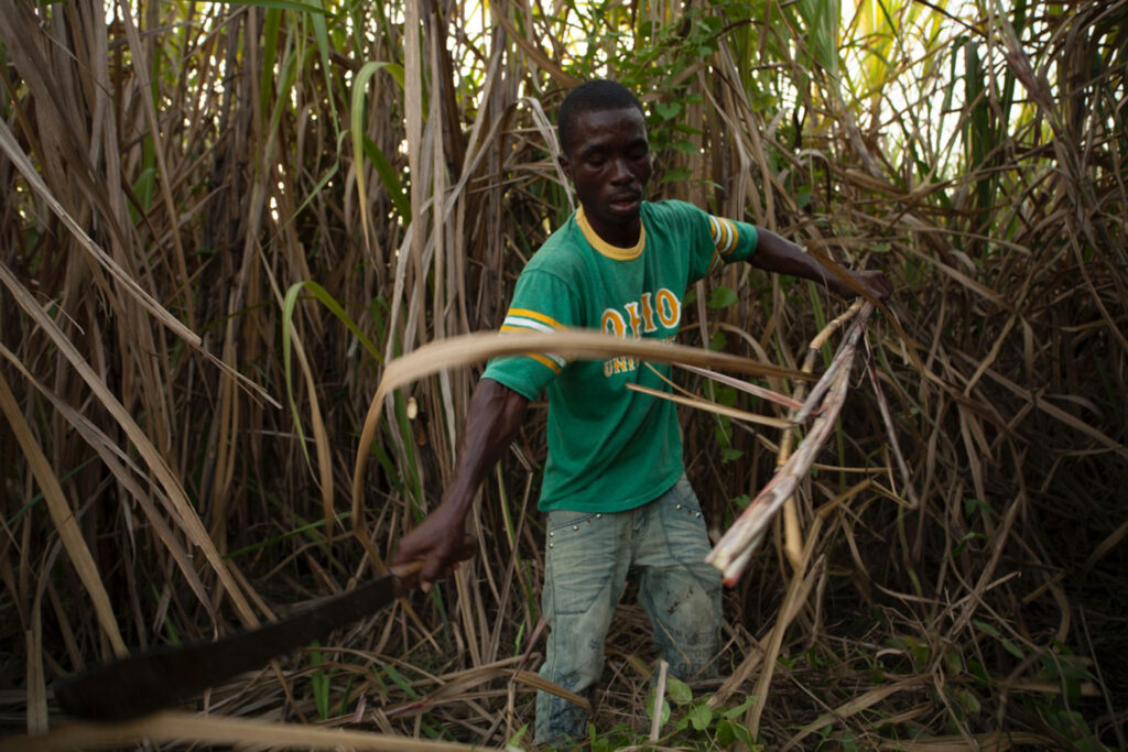 AYITI TOMA