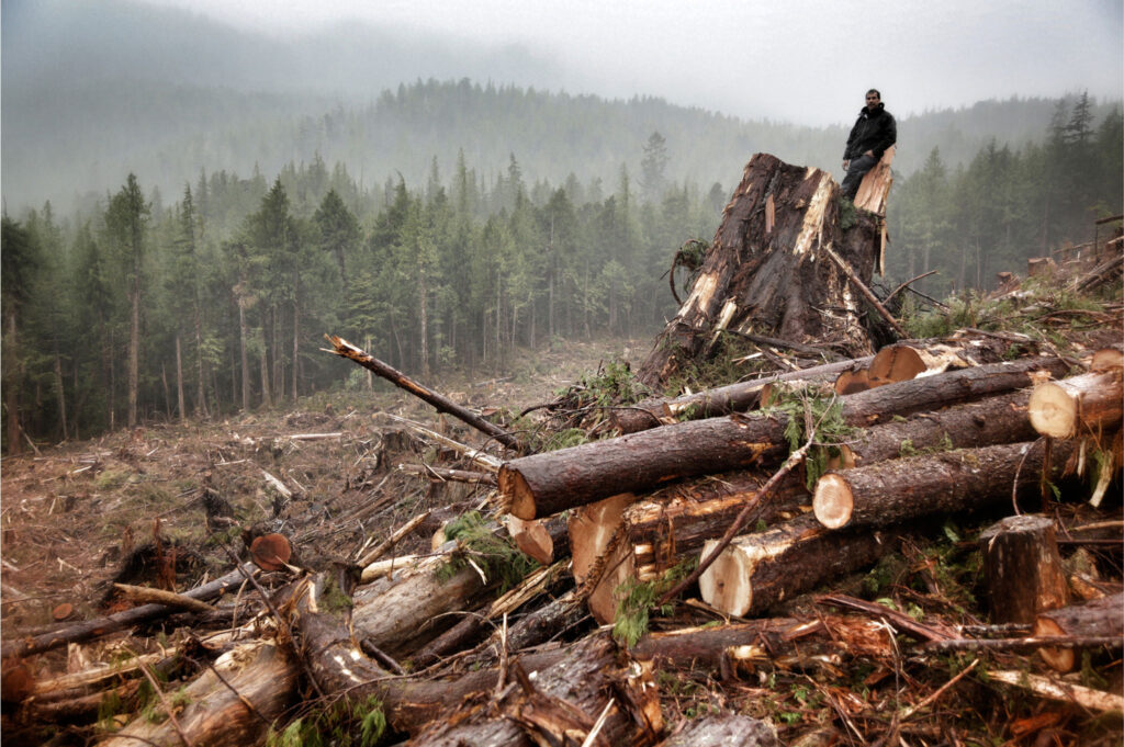 Le jugement d’Hadwin