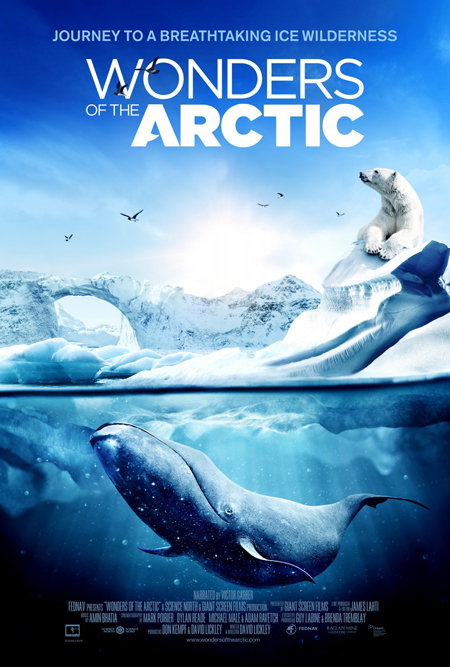 Wonders of the Arctic