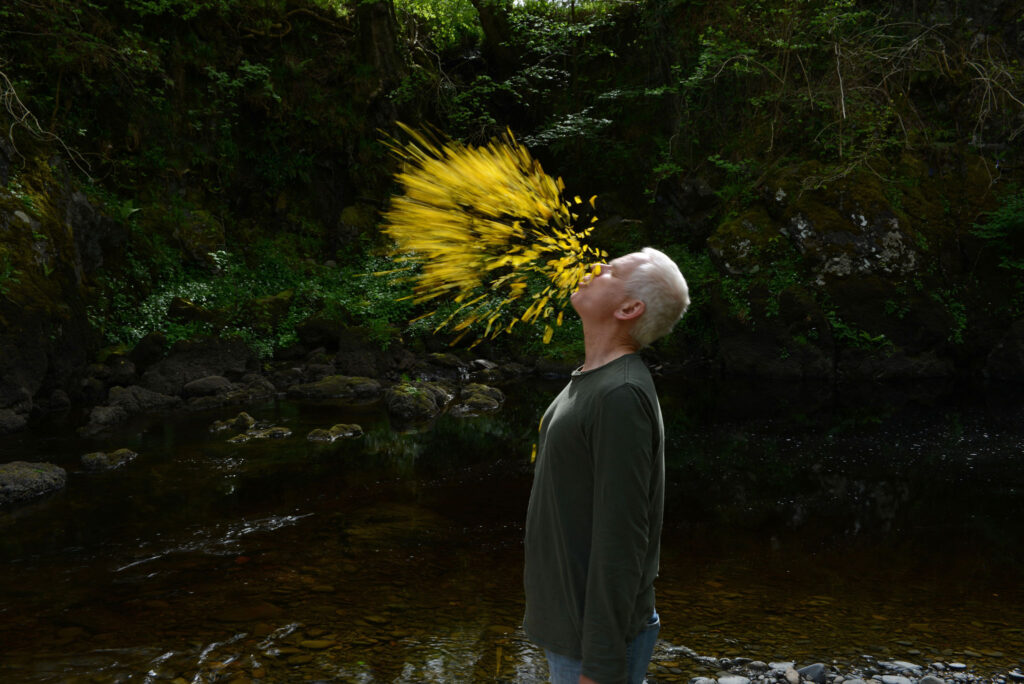 Leaning Into the Wind : L’art d’Andy Goldsworthy