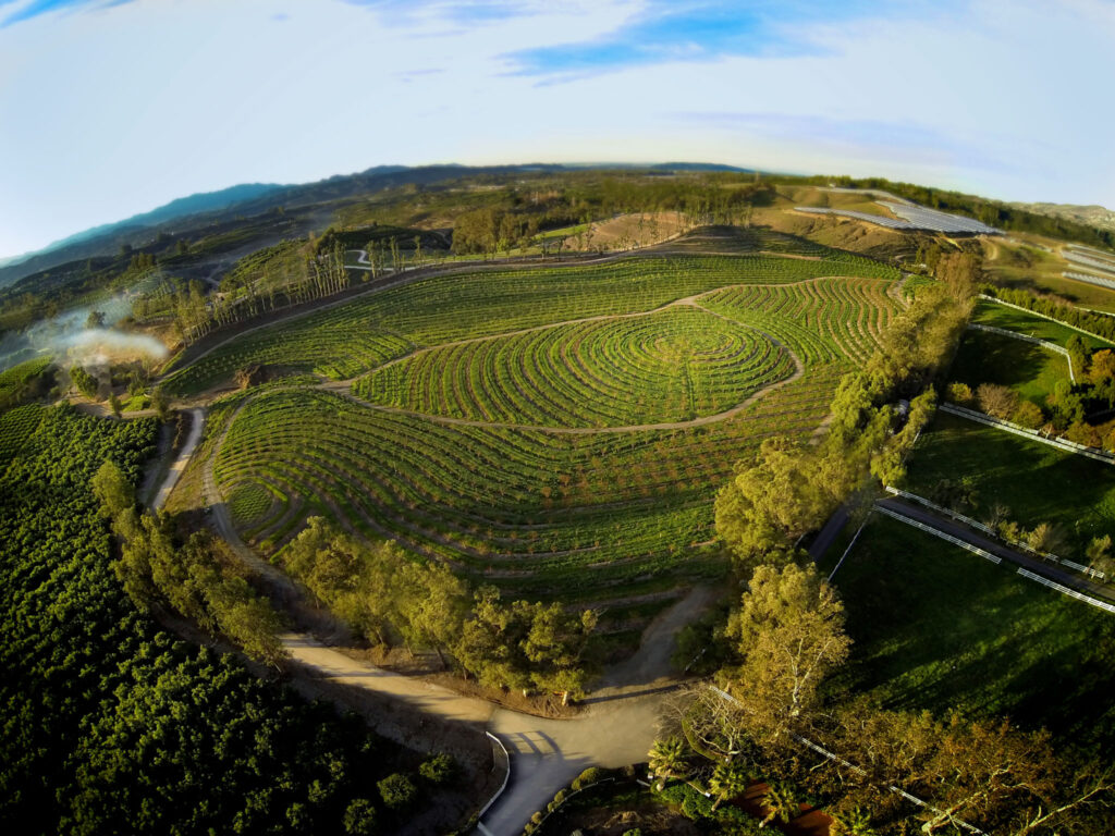 Une ferme plus grande que nature