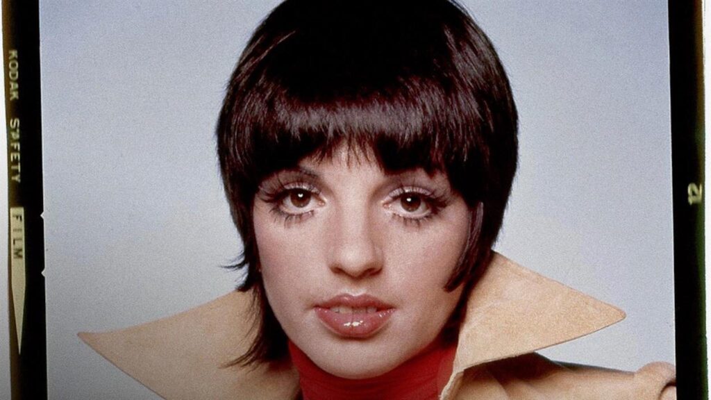 Liza: A Truly Terrific Absolutely True Story