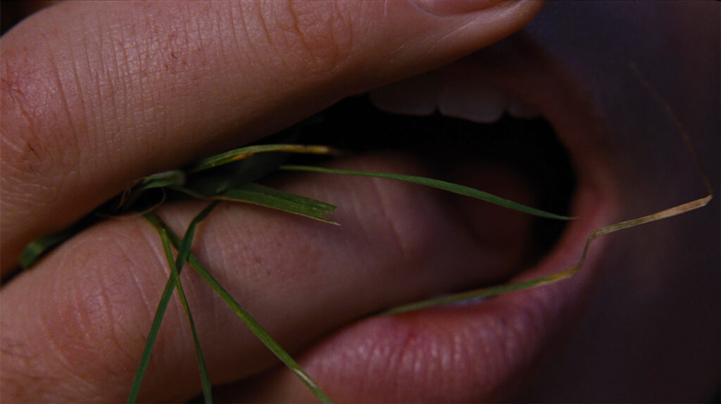 Les Hauts de Hurle-Vent